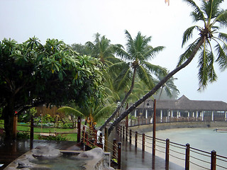 Image showing Hurricane, seaside hotel, palms