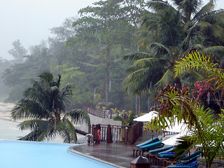 Image showing Hurricane, seaside resort, palms