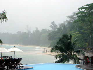 Image showing Tropical hurricane, resort, palms