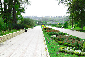 Image showing park with flowerbeds