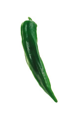 Image showing One chili pepper, green on white background