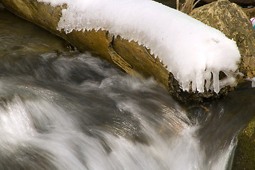 Image showing River during Spring