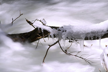 Image showing River during Spring