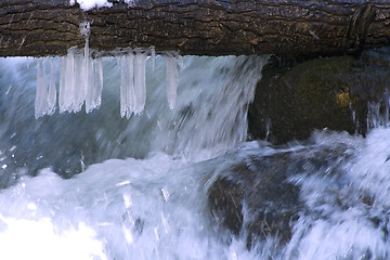 Image showing River during Spring