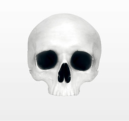 Image showing close up of a skeleton on white background