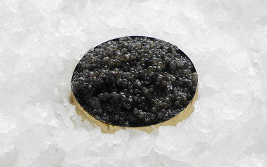 Image showing Black caviar in a bowl