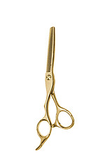 Image showing Professional Haircutting Scissors. Studio isolation on white.