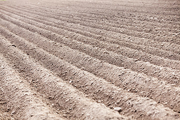 Image showing plowed field, furrows