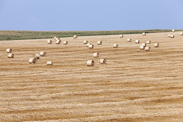 Image showing haystacks in a field of straw