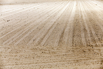 Image showing plowed land. close-up