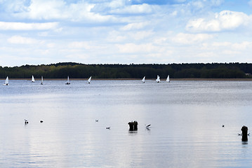 Image showing sailing. Spring season