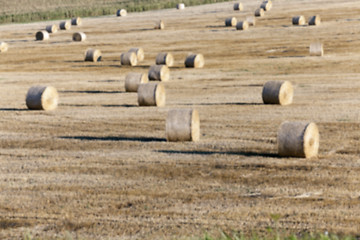 Image showing haystacks in a field of straw