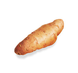 Image showing potato isolated on white background close up