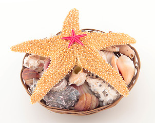 Image showing Starfish on seashells