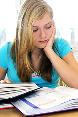 Image showing Teenage girl studying with textbooks