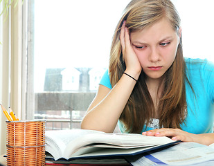 Image showing Teenage girl studying with textbooks