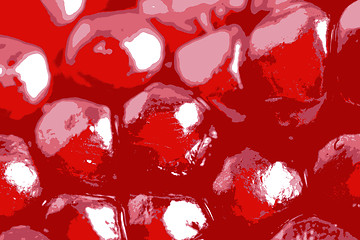 Image showing Pomegranate seeds close up vector illustration