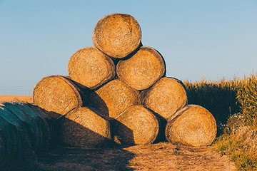 Image showing Straw bales on farmland in the sunset