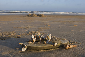 Image showing Abandoned flip-flop