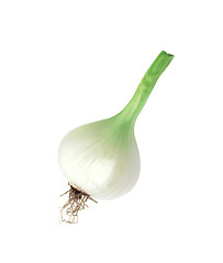 Image showing Green Onion