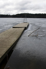 Image showing Swimming platform