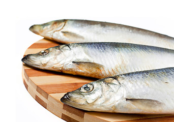 Image showing Fresh fishes on white background