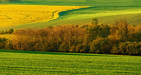 Image showing Beautiful spring rural landscape