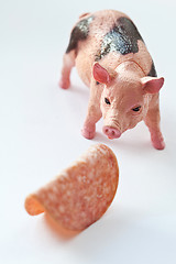 Image showing Miniature Pig with a slice of saussage