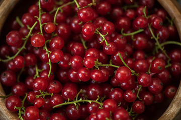 Image showing Fresh red currants