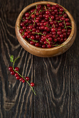 Image showing Fresh red currants