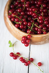 Image showing Fresh red currants