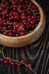 Image showing Fresh red currants