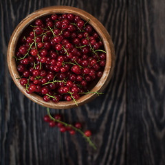 Image showing Fresh red currants