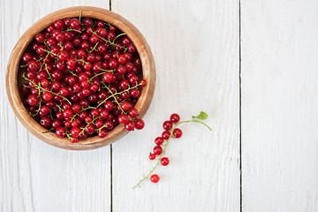 Image showing Fresh red currants