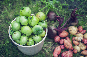 Image showing Harvest of fresh vegetables