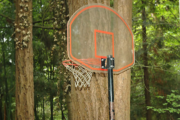 Image showing Basketball Net
