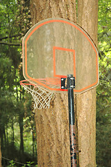 Image showing Basketball Net