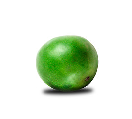 Image showing Whole Green Mango