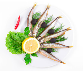 Image showing anchovies on white background
