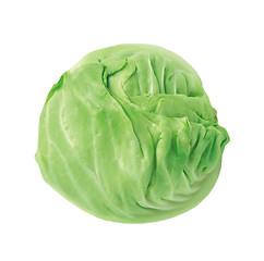 Image showing Fresh green cabbage vegetable