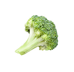 Image showing Broccoli on White Background