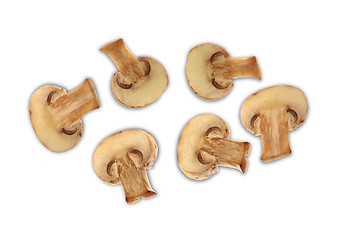 Image showing agaricus mushrooms isolated on a white background