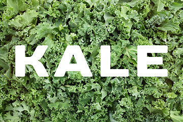 Image showing KALE text over shredded kale leaves background