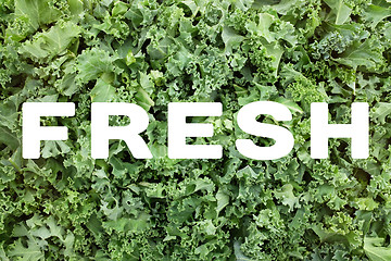 Image showing FRESH text over shredded kale leaves background