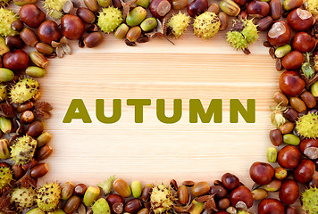 Image showing AUTUMN written on wood with border of beechnuts, conkers, acorns