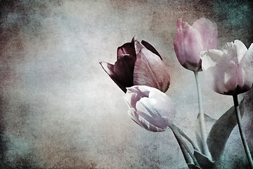 Image showing tulips on textured old paper