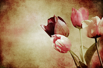 Image showing tulips on textured old paper