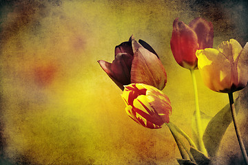 Image showing tulips on textured old paper