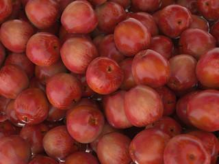 Image showing Group of many Red ripe apples