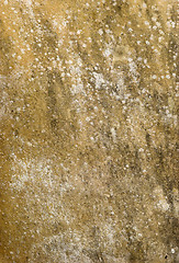 Image showing Grungy wall